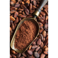 Горячий шоколад Good To Go hot chocolate FOUNDATION 250 г  