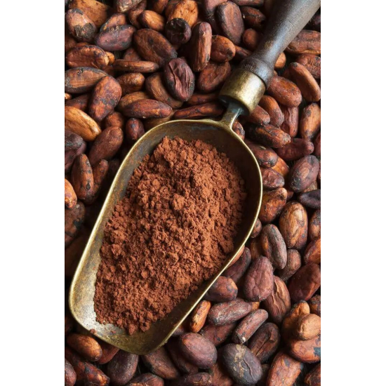 Горячий шоколад Good To Go hot chocolate FOUNDATION 250 г Горячий шоколад Good To Go hot chocolate FOUNDATION 250 г