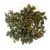 Високоякісний чай улун Ті Гуань Інь Tie Guan Yin MAROYA TEA