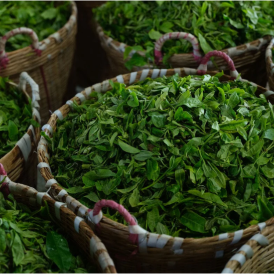 Китайський чай улун Дундін Dongding Oolong MAROYA TEA Китайський чай улун Дундін Dongding Oolong MAROYA TEA